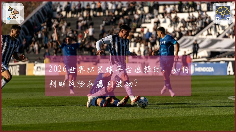 2026世界杯买球平台选择时，如何判断风险和赢利波动？