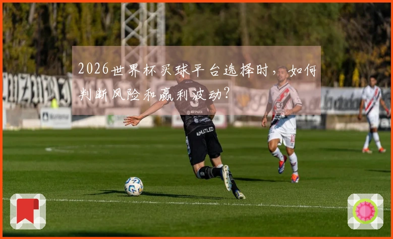 2026世界杯买球平台选择时，如何判断风险和赢利波动？