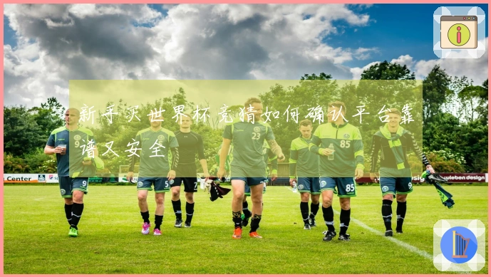 新手买世界杯竞猜如何确认平台靠谱又安全